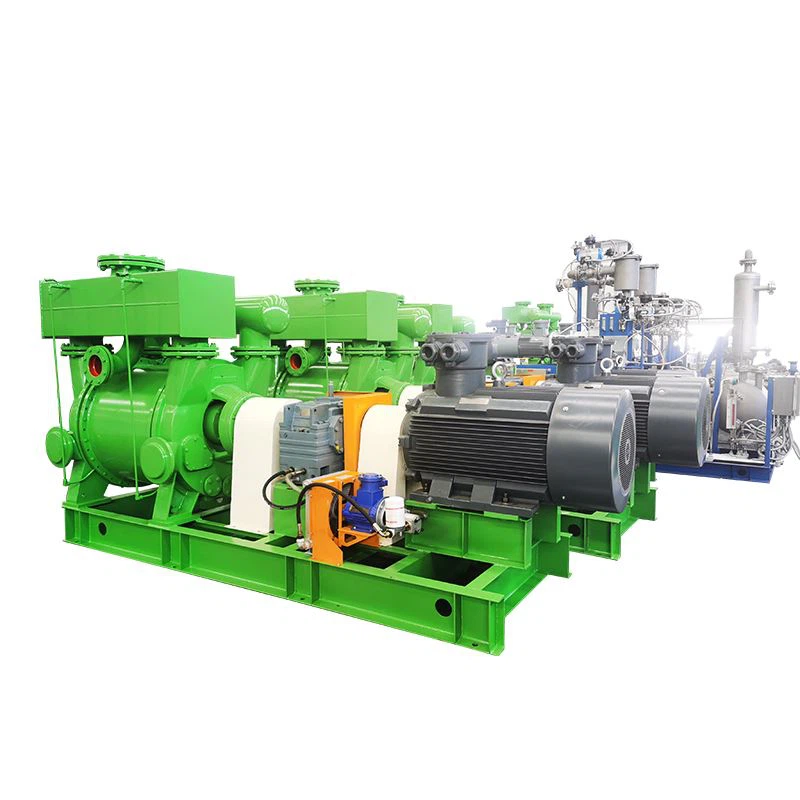 2BE3 Large Liquid Ring Vacuum Pump